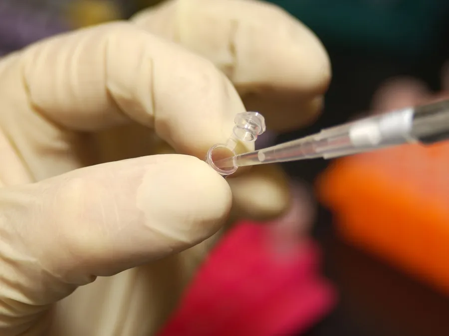 A gloved hand using a pipette to transfer DNA into a micro test tube